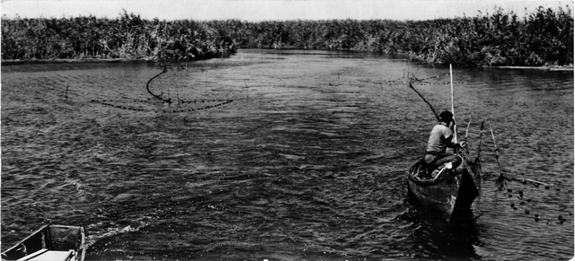 210 - Delta Dunarii. Pe lacul Matita